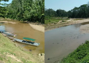 Peixes mortos contaminam rios no Acre e põem em risco a saúde da população
