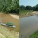 Peixes mortos contaminam rios no Acre e põem em risco a saúde da população