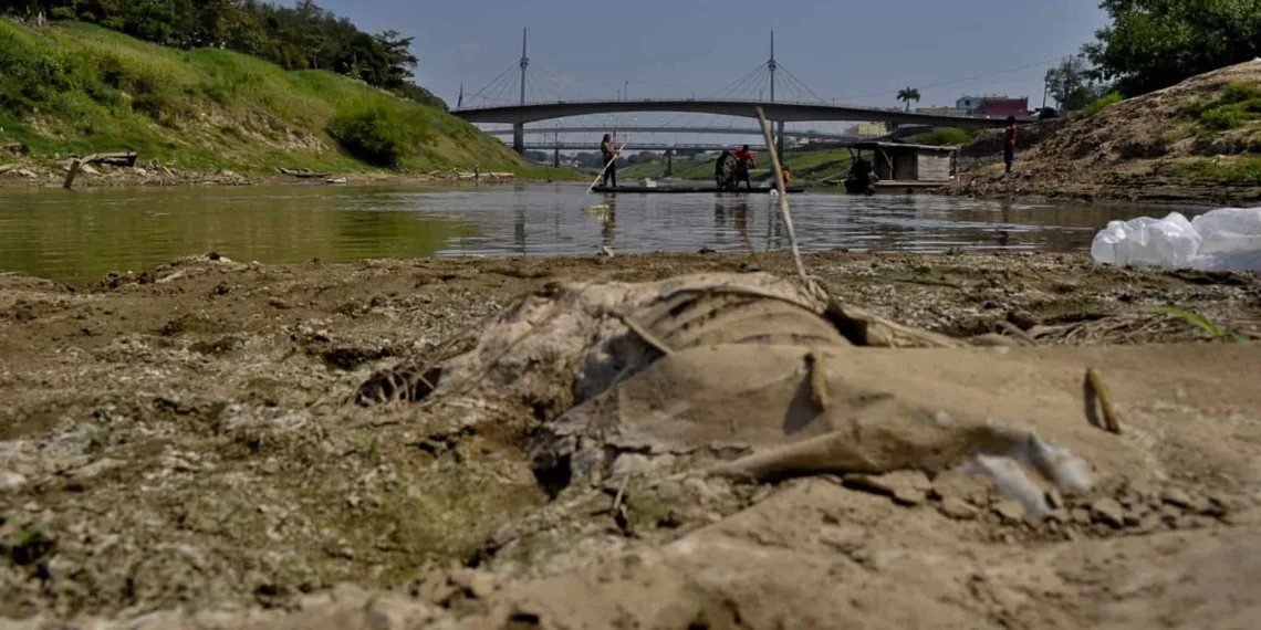 Estado promove mutirão de limpeza nas margens do Rio Acre nesta sexta-feira