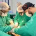 Único estado da região Norte habilitado pelo MS para realizar transplantes de fígado, Acre alcança recorde de cirurgias em 2023