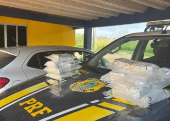 Homem é preso transportando mais de 15 quilos de cocaína escondidos em tanque do veículo