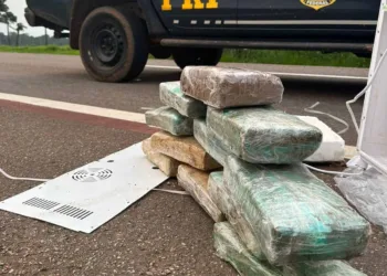 PRF apreende mais de 11 kg de maconha escondidos em eletrodoméstico