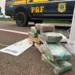 PRF apreende mais de 11 kg de maconha escondidos em eletrodoméstico