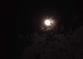 Acreano registra fotos da lua cheia de eclipse parcial; veja cliques