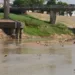 Semana começa com Rio Acre a 25 centímetros do menor índice já registrado e previsão de chuva