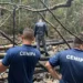 Equipe de especialistas do Cenipa chega ao Acre para investigar o acidente aéreo. Foto: cedida
