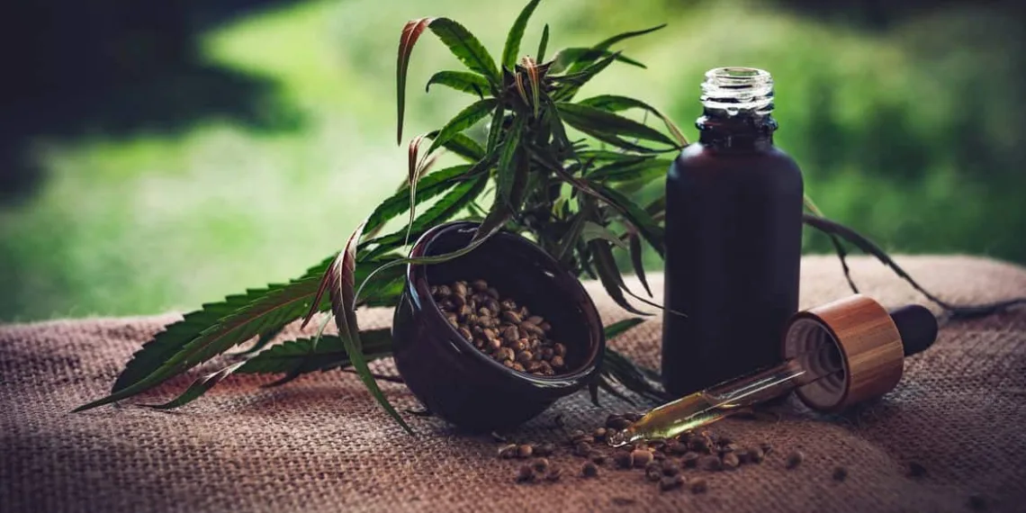 23/06/2023 -  óleo de canabis, canabidiol, cbd, thc. Foto: CBD-Infos-com/ Pixabay