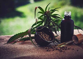 23/06/2023 -  óleo de canabis, canabidiol, cbd, thc. Foto: CBD-Infos-com/ Pixabay