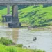 Rio não atingiu a menor cota histórica ainda em 2023, mas a situação é crítica. Foto: Diego Gurgel/Secom.