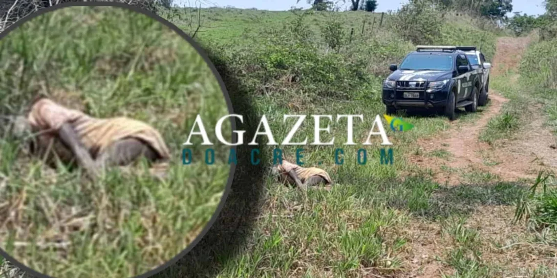 Corpo de idoso é encontrado na zona rural de Rio Branco