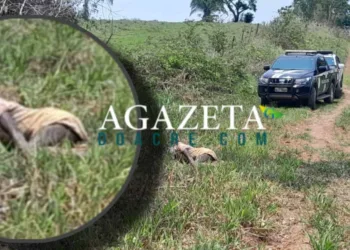 Corpo de idoso é encontrado na zona rural de Rio Branco