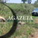 Corpo de idoso é encontrado na zona rural de Rio Branco