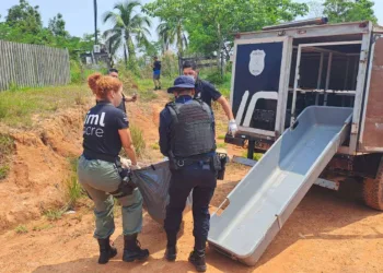 Até novembro de 2024, Acre registrou 163 mortes violentas intencionais