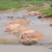 Foto: Dell PInheiro/Arquivo