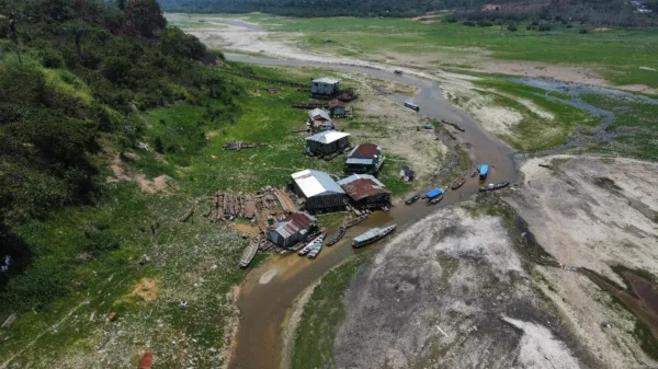 Amazônia vive seca devastadora: 'Natureza não tem tempo de se adaptar'