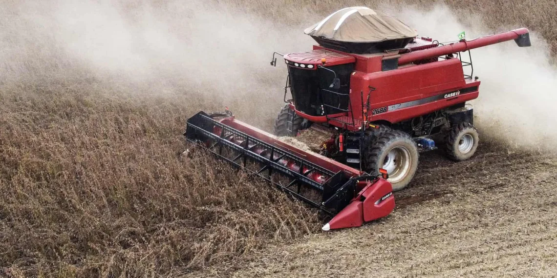 Produção de milho e soja no Acre é a maior em três décadas, diz Ipea