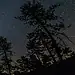 Chuva de meteoros Leônidas acontece na madrugada deste sábado; entenda