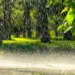 Inmet alerta para chuvas intensas em 10 municípios do Acre; confira