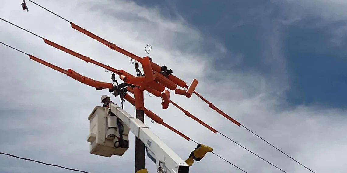 Intervenção de populares na rede elétrica deixa 23 mil clientes em 2023 sem energia