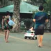 Momento de tranquilidade para a família passear (Foto: Val Fernandes/Assecom)
