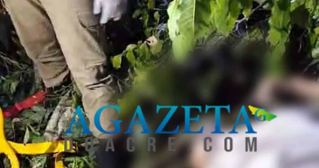 Foragido da Justiça morre durante derrubada de árvore na zona rural de Sena Madureira