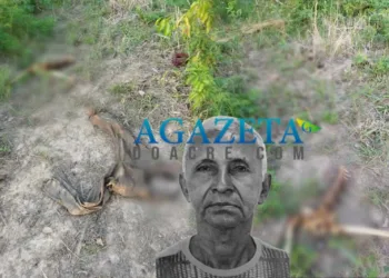 Ossada humana é encontrada por família de colonos no interior do Acre