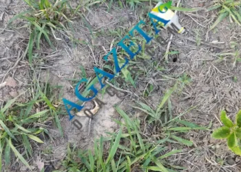 Idoso encontrado morto no interior do Acre pode ter sido vítima de ataque de onça, diz familiar