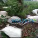 Vídeo: Raio mata 16 vacas durante chuva em propriedade rural no Acre