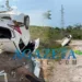Carro fica completamente destruído após capotar várias vezes na BR-317