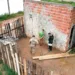 Polícia Civil prende 50 pessoas em cinco municípios do Acre e em Goiás, durante Operação Deleri