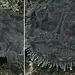 Imagens raras mostram 'demônio do mar' caminhando no fundo de oceano