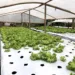 Objetivo é atender produtores da bacia do Rio Acre, de Assis Brasil a Porto Acre. Foto: cedida