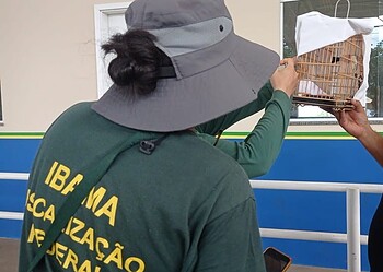 Foto: PRF-AC