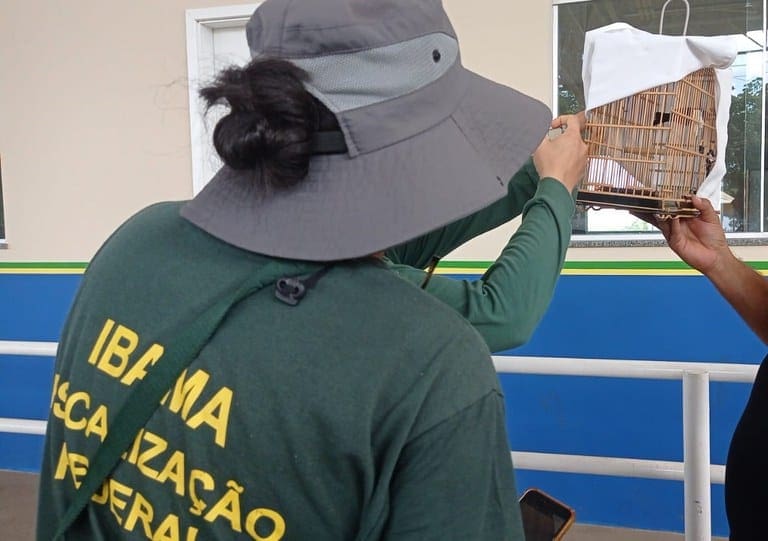 Foto: PRF-AC