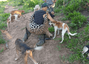 Dentista condenado por matar onças no Acre pode ter abatido 48 animais desde 1987