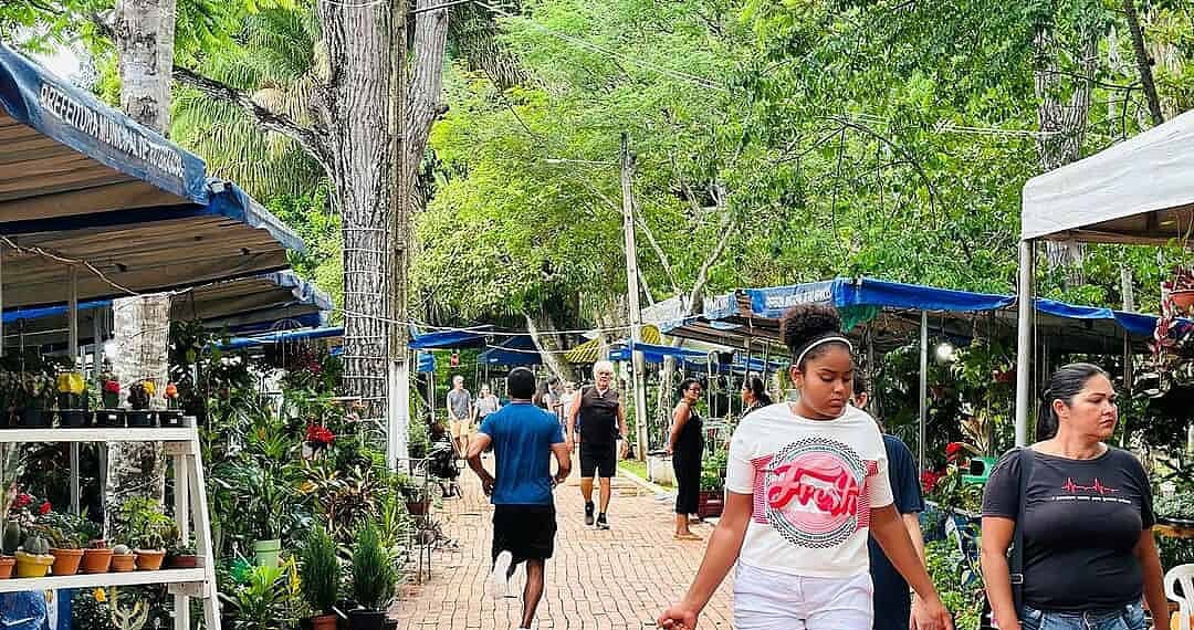 Feira Natalina do Horto Florestal segue aberta até o dia 1º de janeiro