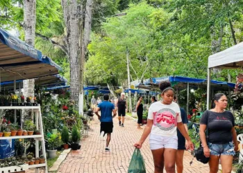 Feira Natalina do Horto Florestal segue aberta até o dia 1º de janeiro