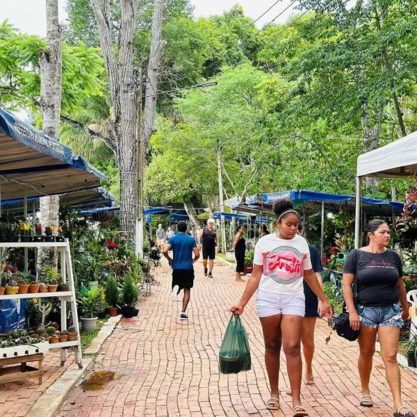 Feira Natalina do Horto Florestal segue aberta até o dia 1º de janeiro