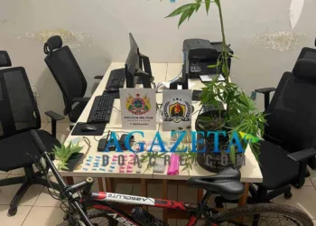 Plantação de maconha é apreendida em residência na capital acreana