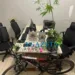 Plantação de maconha é apreendida em residência na capital acreana