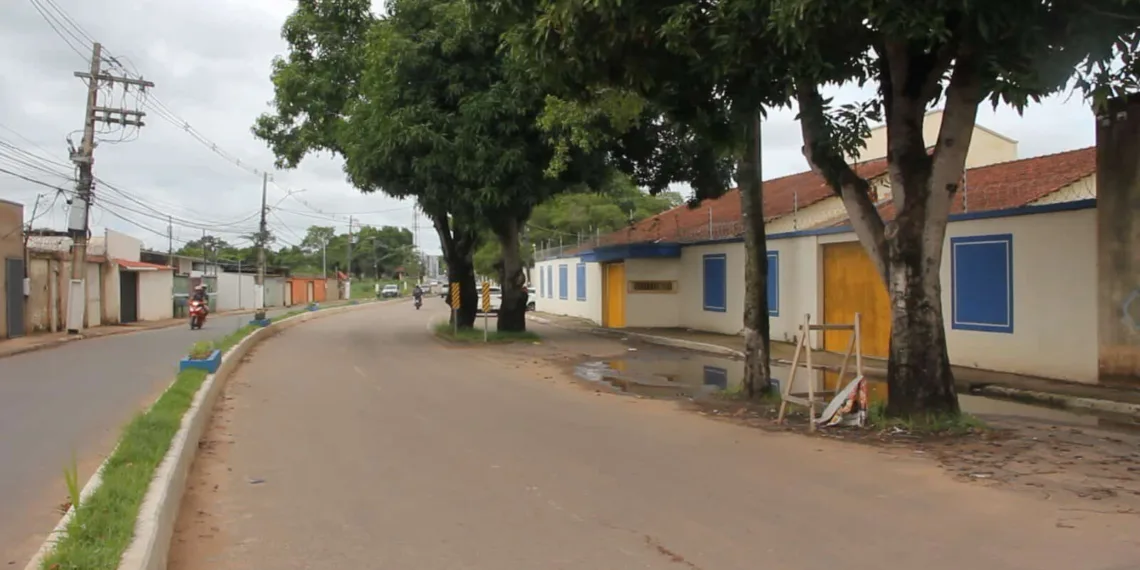 Prefeitura de Rio Branco esclarece sobre remoção de árvores em vias públicas