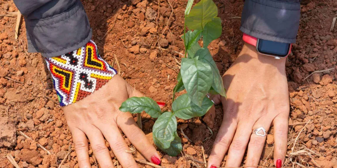 SOS Amazônia lança campanha de Natal para plantio de árvores
