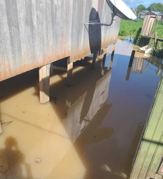 Rio Tarauacá transborda e água alcança quintais e ruas de bairro do município