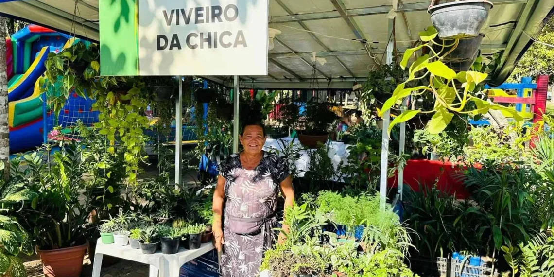Feira Natalina de Economia Popular e Solidária começa nesta sexta-feira no Horto Florestal