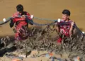 Povo Ashaninka da aldeia Apiwtxa celebra despesca em preparação para as festas de fim de ano