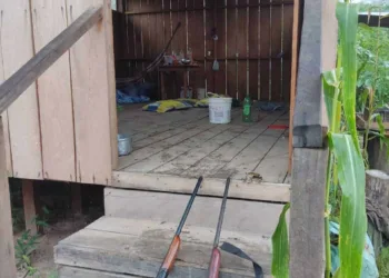 Polícia desarticula associação criminosa especializada em tráfico de drogas interestadual