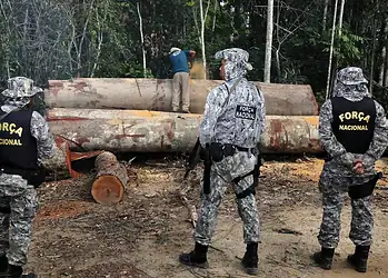 Foto: Mário Vilela/Funai