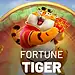 MP instaura procedimento para investigar influenciadores que divulgam 'jogo do tigre' no Acre