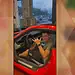 De motoboy a proprietário de carros de luxo: veja como agia grupo de influenciadores do 'Jogo do Tigre'