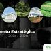 Sefaz aprova comitê de planejamento estratégico com eficiência e inovação para 2024 e 2028
